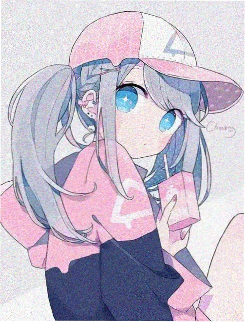 连锁快捷住宿客房平面与床位数示意